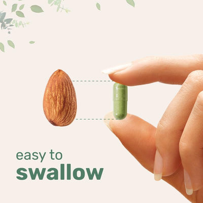 Moringa Capsules 1000mg